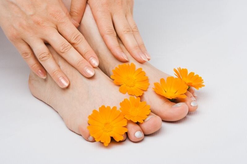 cvjetovi nevena za gljivice na noktima na nogama